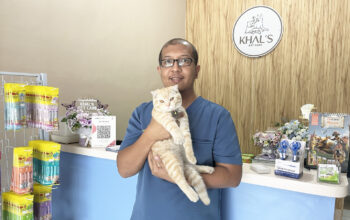 Vaksinasi Anabul Kunci Kesehatan & Kebahagiaan!